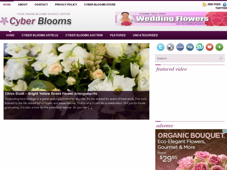 www.cyberblooms.com