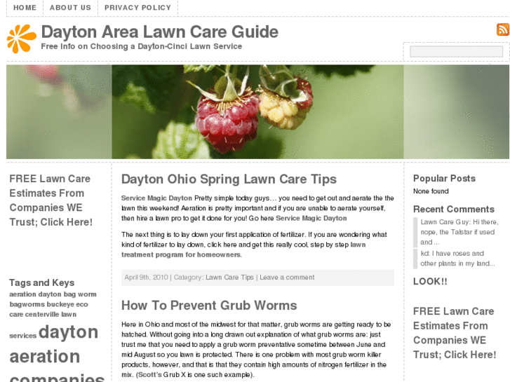 www.daytonlawncare.info