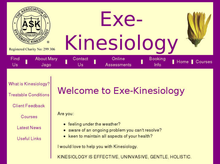 www.exe-kinesiology.com