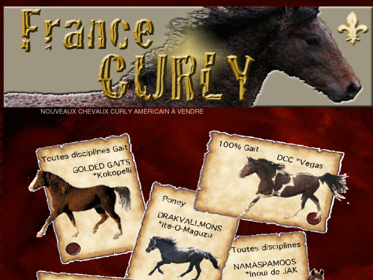 www.francecurly.com