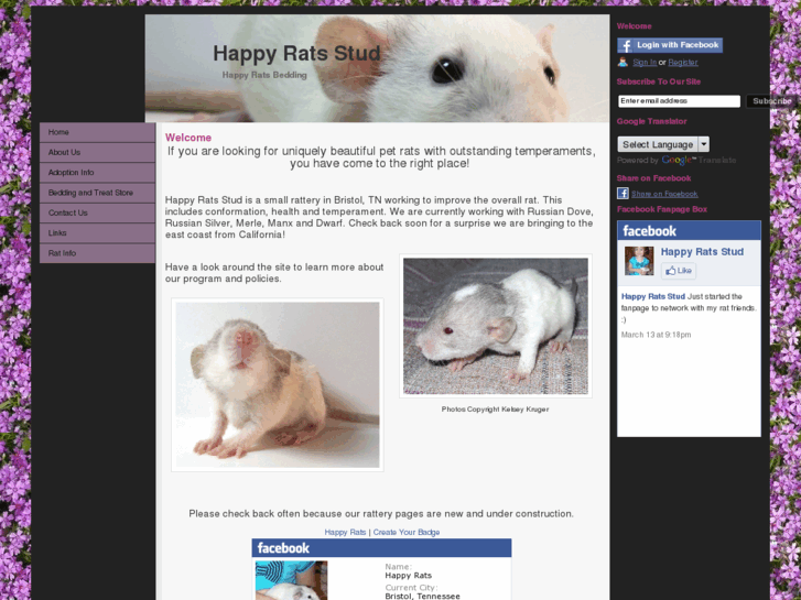 www.happyrats.com