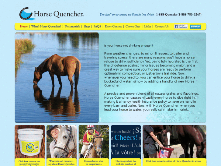 www.horsequencher.com