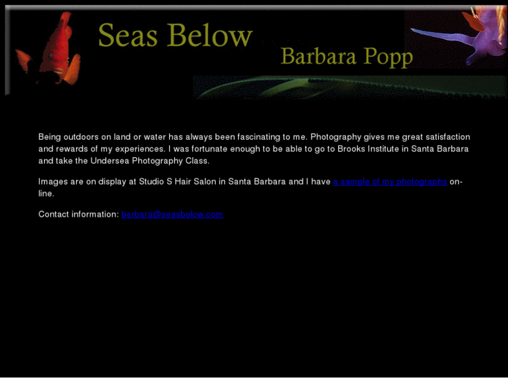 www.seasbelow.com