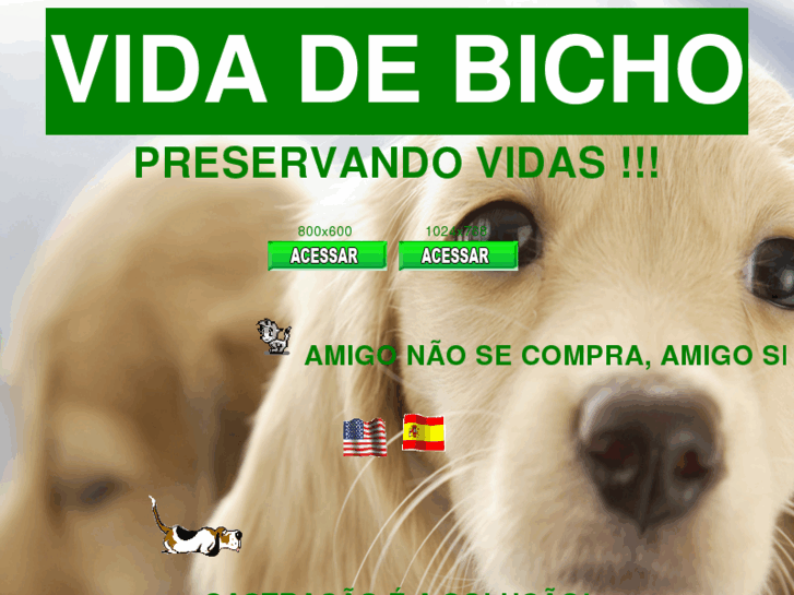 www.vidadebicho.org