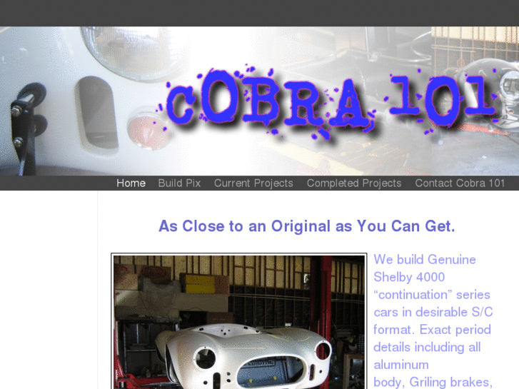 www.cobra101.com