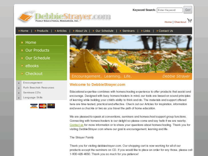 www.debbiestrayer.com