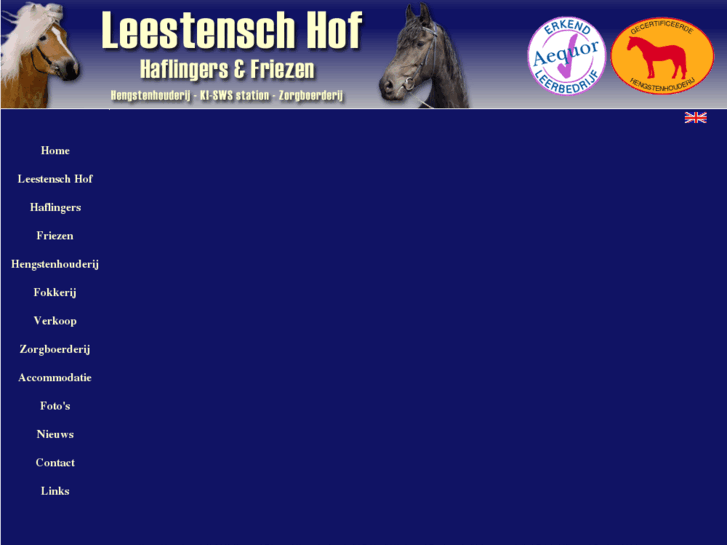 www.haflingerhorses.net