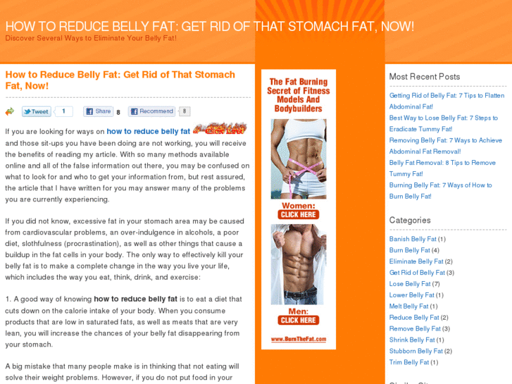 www.how-to-reduce-belly-fat.com