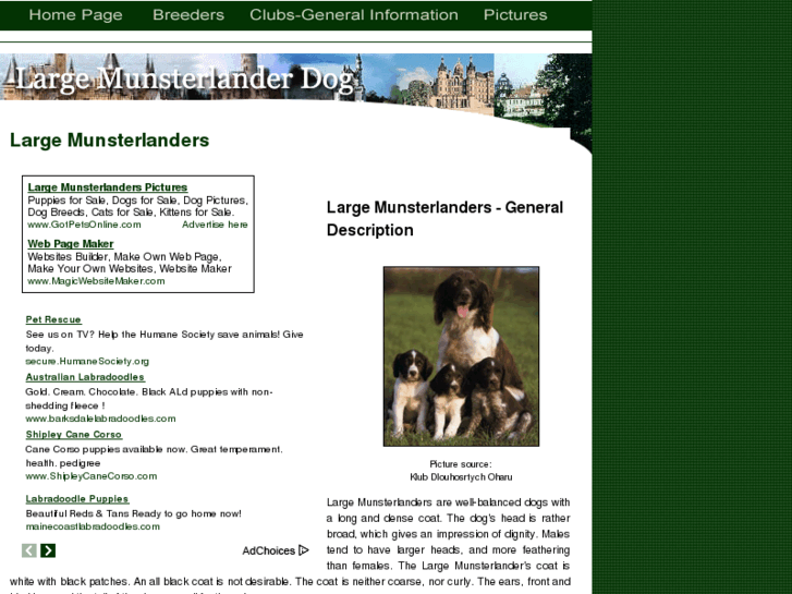 www.large-munsterlander-dogs.com