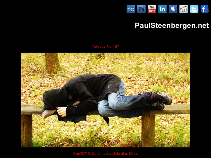 www.paulsteenbergen.net