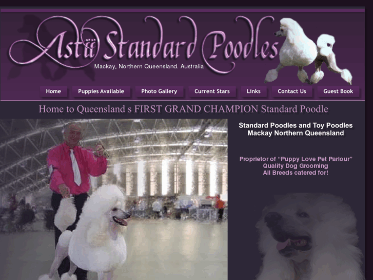 www.astiistandardpoodles.com