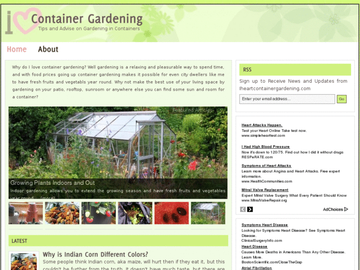 www.iheartcontainergardening.com