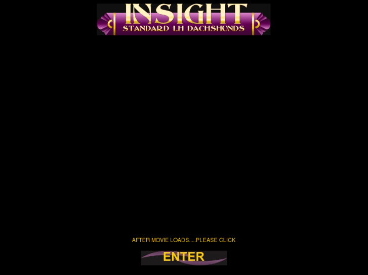 www.insightdachs.com