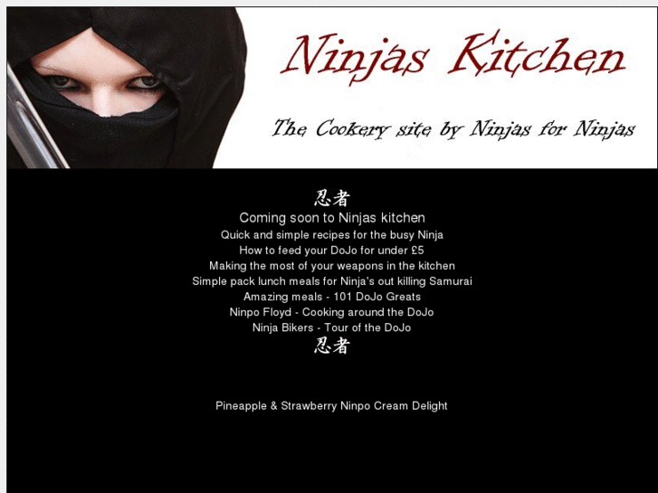 www.ninjaskitchen.com