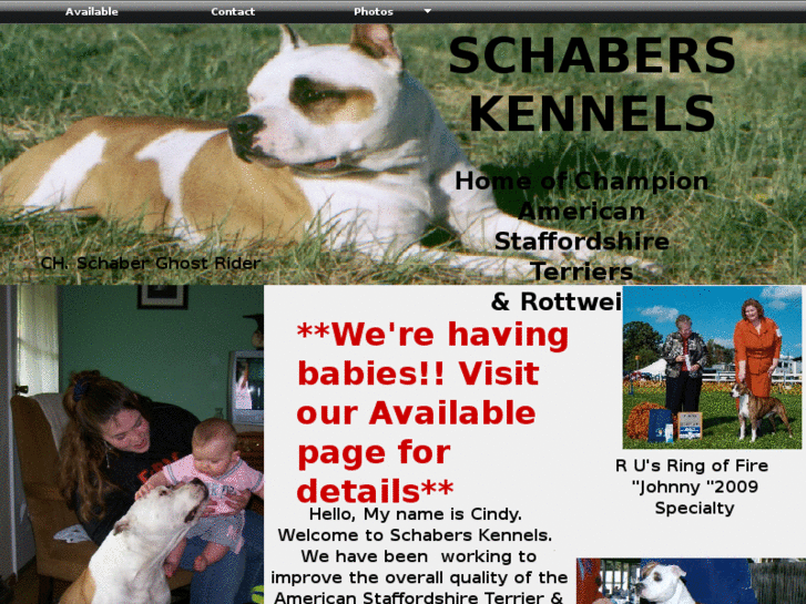 www.schaberskennels.com