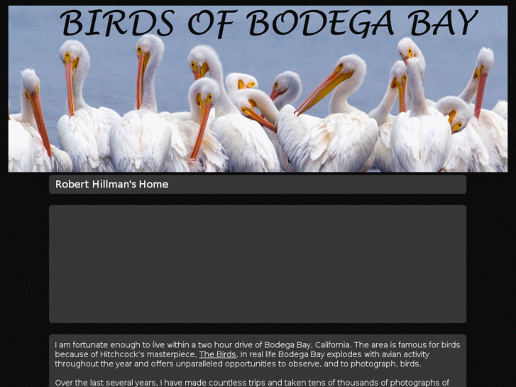 www.birdsofbodegabay.com