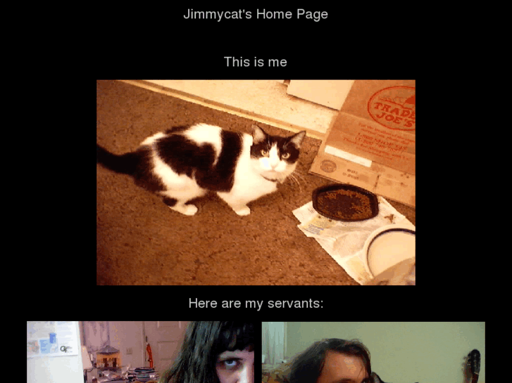 www.jimmycat.com