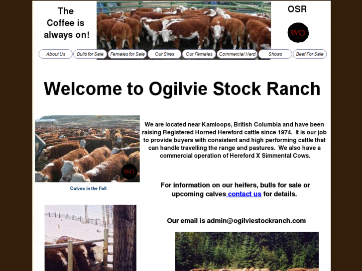 www.ogilviestockranch.com