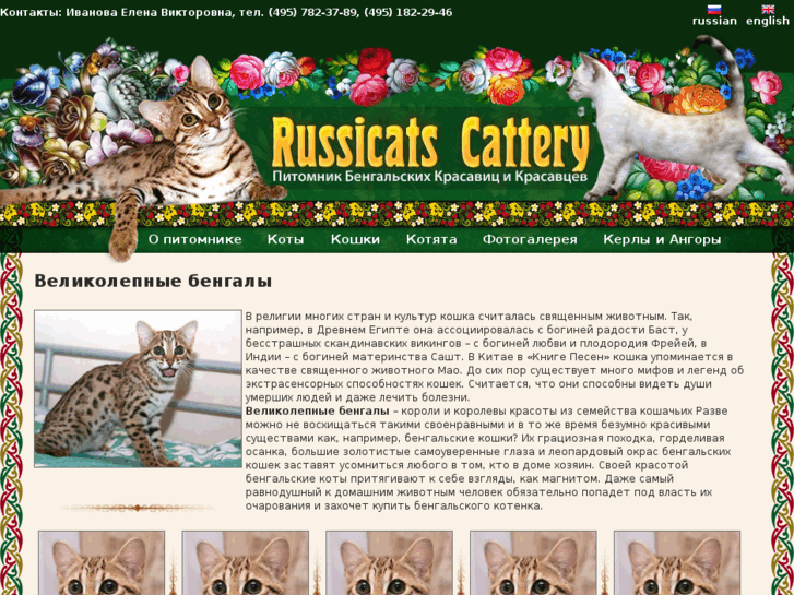 www.russicats.com