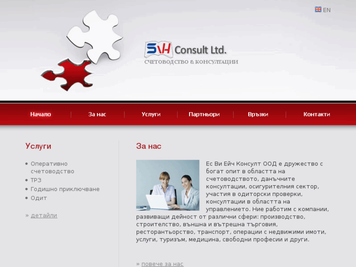 www.svhconsult.com