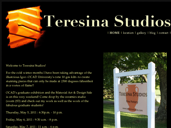 www.teresinastudios.com