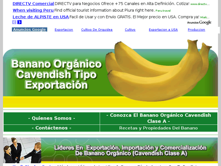 www.cultivo-banano-organico.com