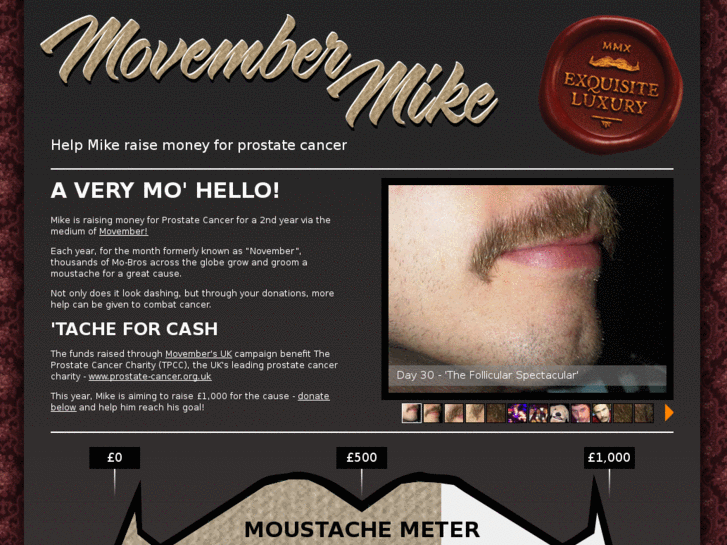 www.movembermike.com