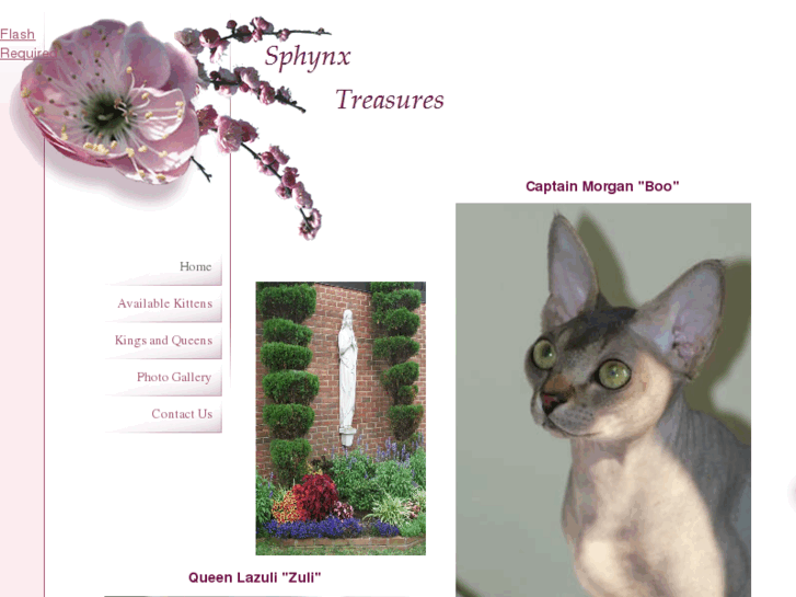 www.sphynxtreasures.com