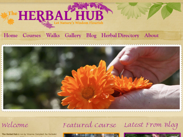 www.theherbalhub.com