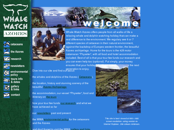 www.whalewatchazores.com