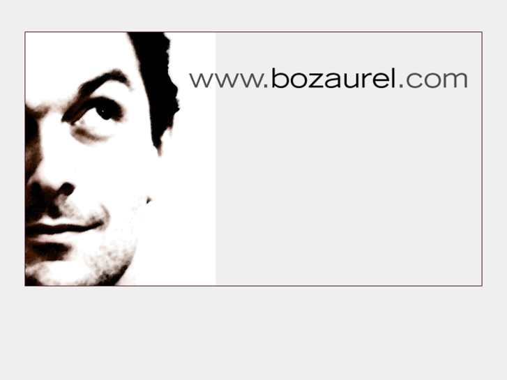 www.bozaurel.com