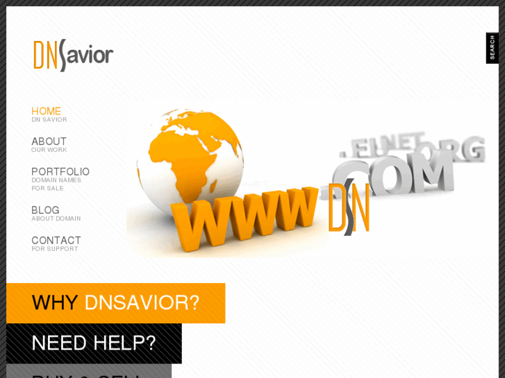 www.dnsavior.com