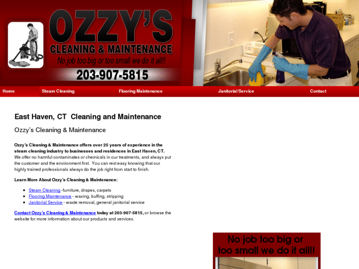 www.ozzyscleaning.com