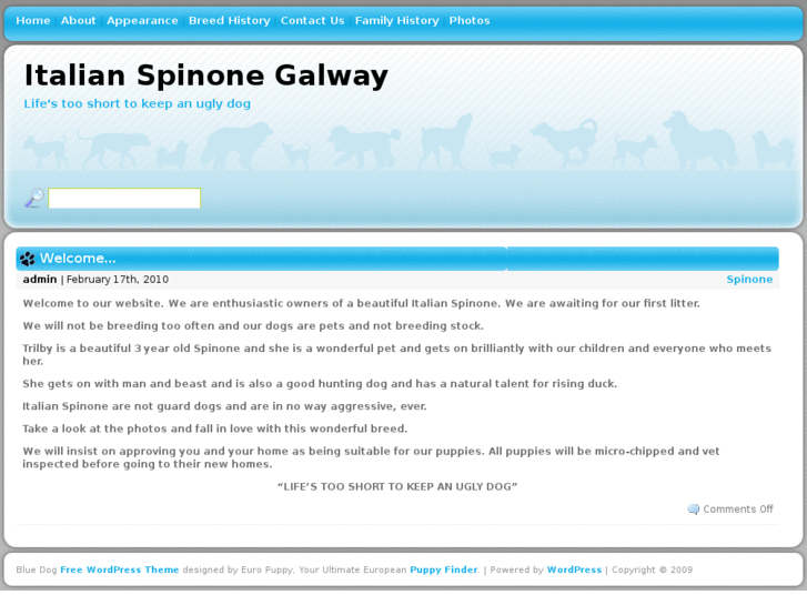 www.spinonegalway.com