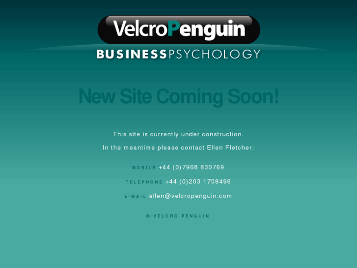 www.velcropenguin.com