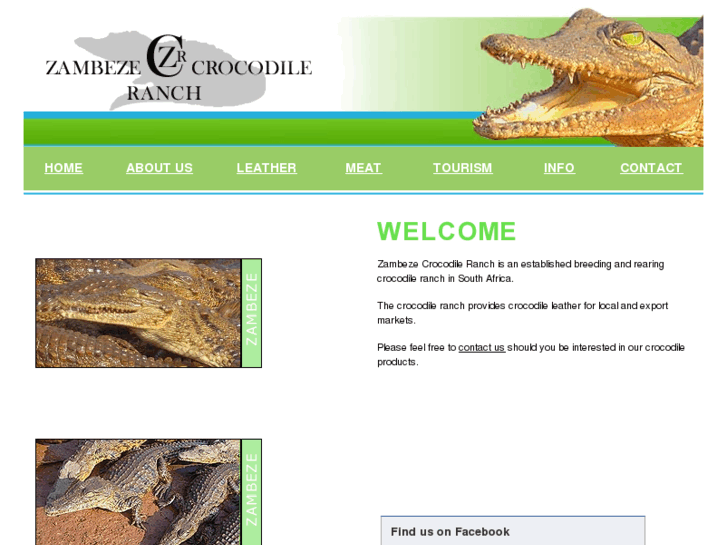 www.zambezecrocodile.com