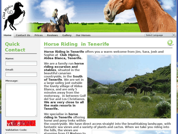 www.horseridingintenerife.com