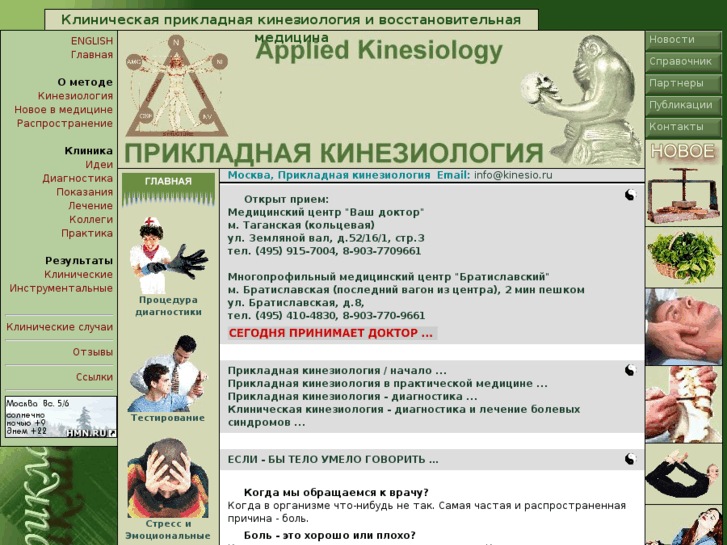 www.kinezio.ru