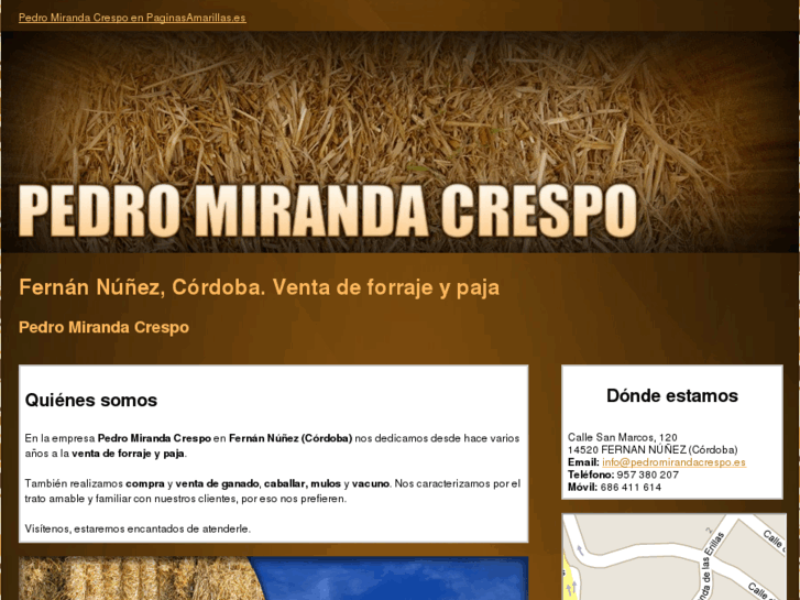 www.pedromirandacrespo.es