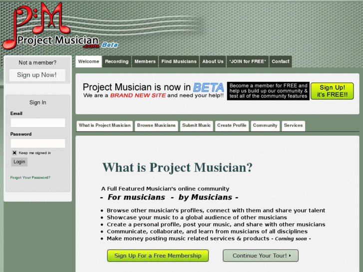 www.projectmusician.com