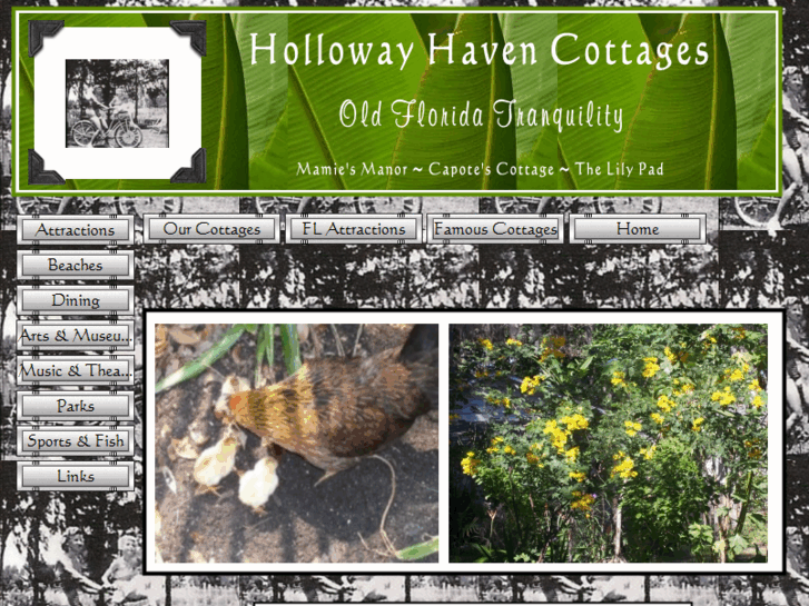 www.thehollowayhaven.com