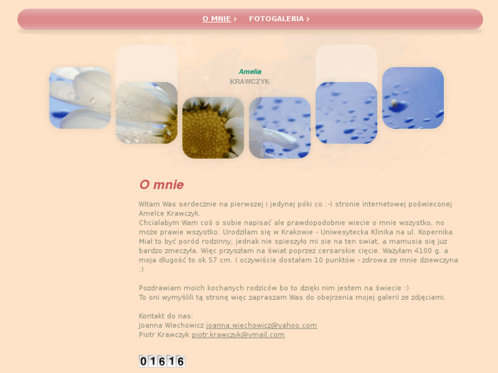 www.ameliakrawczyk.com