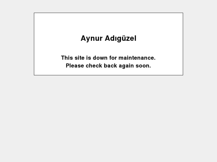 www.aynuradiguzel.com