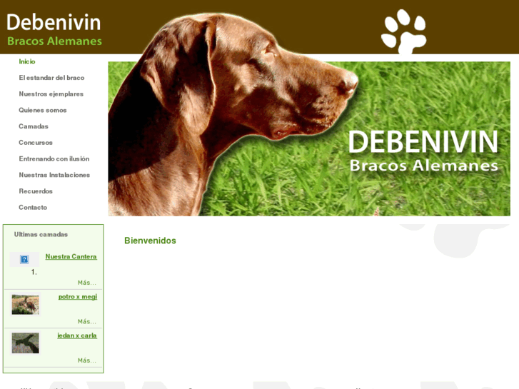 www.debenivin.com