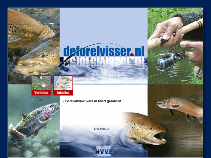 www.deforelvisser.nl