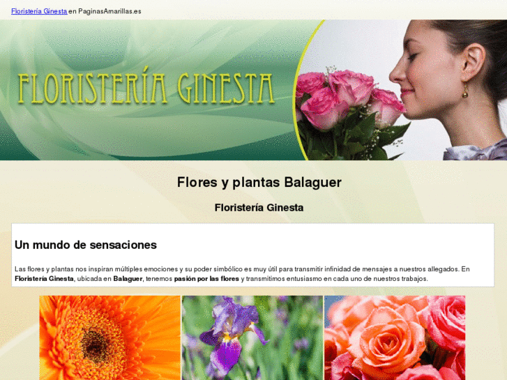 www.floristeriaginesta.com