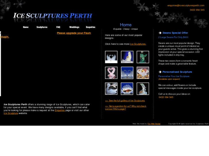 www.icesculpturesperth.com