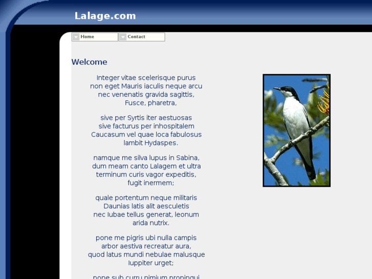 www.lalage.com