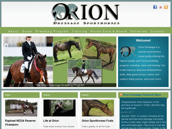 www.oriondressage.com