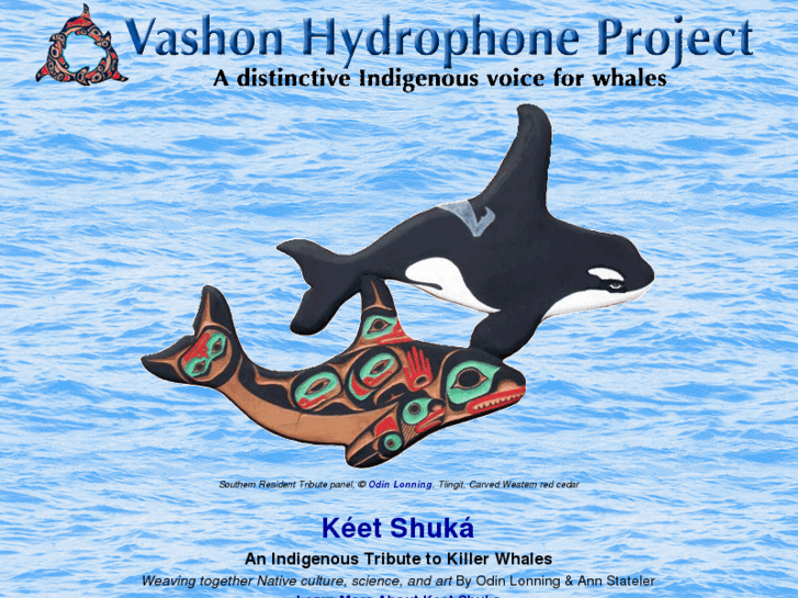 www.vashonorcas.org